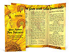Sunflowers Brochure Template
