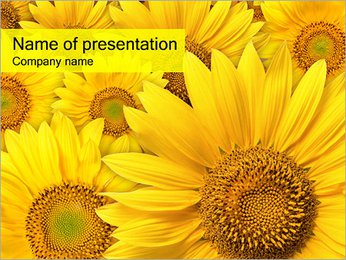 Sunflowers PowerPoint Template