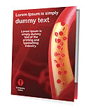 Artery Presentation Folder