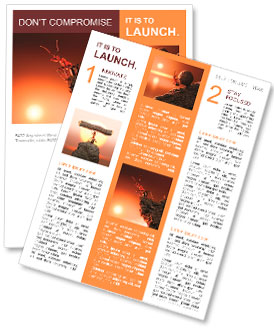 Ant on top of rock, mountain peak, height concept Newsletter Template