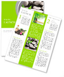 Zen basalt stones and bamboo with dew Newsletter Template