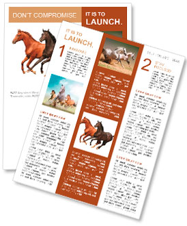 Izole Atlar Haber yayını