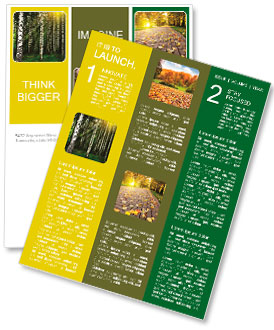 太陽が森の中に光線。 ニュースレター