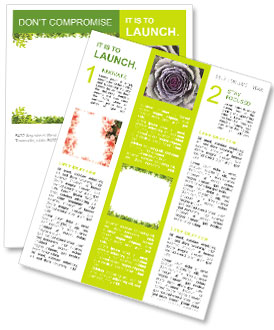 Cadre de feuilles vertes Newsletter