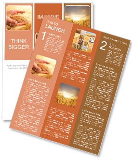 Gold ears of wheat in the hands of human Newsletter Template