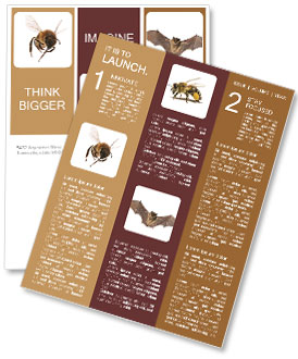 Flight of bees on a white background Newsletter Template
