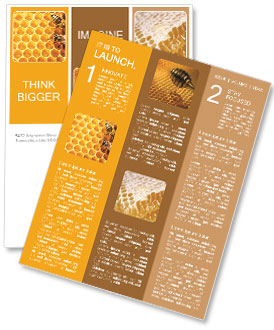 蜂窝和蜜蜂 新闻分送