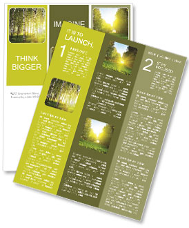 The rays of the sun in the summer forest Newsletter Template