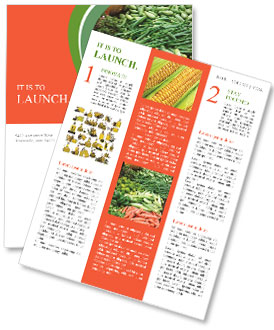 Légumes frais Newsletter