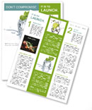 Melting ice cube and plant Newsletter Template