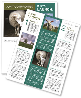 Maternal Sheep Instinct: A Sheep And Her Lamb At The Barn Door Newsletter Template