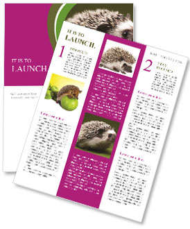 ハリネズミの魅力的な世界を発見する: 事実、世話、行動 ニュースレター