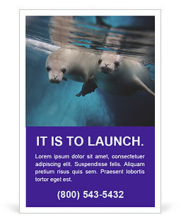 Diving Behavior Of Lobodon Carcinophagus, Commonly Known As Crabeater Seals Ad Template
