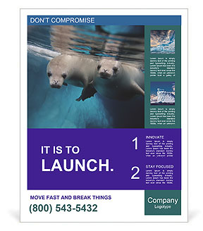 Diving Behavior Of Lobodon Carcinophagus, Commonly Known As Crabeater Seals Poster Template