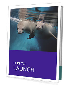 Diving Behavior Of Lobodon Carcinophagus, Commonly Known As Crabeater Seals Presentation Folder