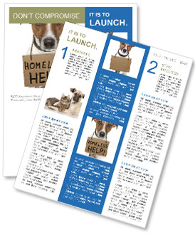 A Canine Without A Home: Understanding The Plight Of Homeless Dogs Newsletter Template