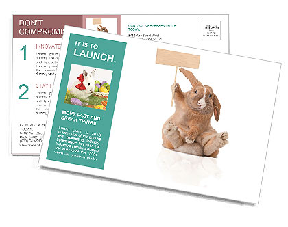 Isolated Cute Rabbit With Sign In Paw And Reflection On White Background - Plenty Of Copy Space For Your Design Postcard Template