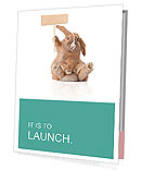 Isolated Cute Rabbit With Sign In Paw And Reflection On White Background - Plenty Of Copy Space For Your Design Presentation Folder