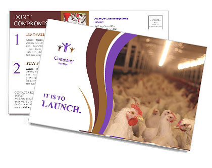 Poultry Farming: Raising Chickens For Production And Profit. Postcard Template