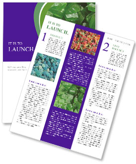 Green Shagar Candy Newsletter Template