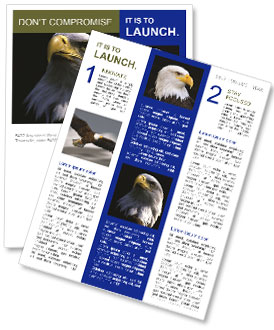 Eagle Bird Newsletter Template