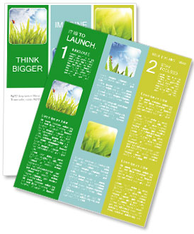 Ladybug on Green Grass Newsletter Template