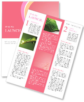 粉红玫瑰背景 新闻分送