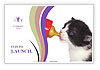 Newborn Kitten Drinking Milk Postcard Template