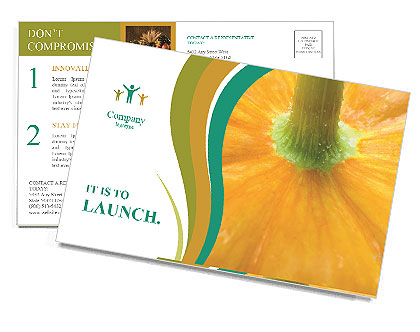Yellow Pumpkin Postcard Template