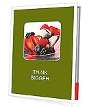 Sweet Icecream with Fruits Presentation Folder