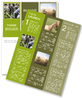 Learn to Ride the Horse Newsletter Template