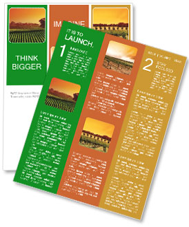 Vineyard in Australia Newsletter Template