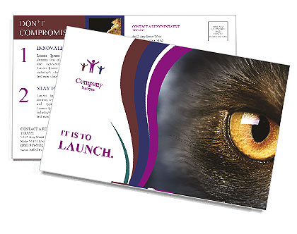 Yellow Eyed Cat Postcard Template