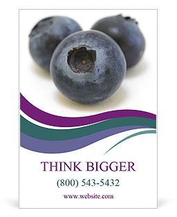 Tasty Blueberry Ad Template