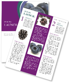 Tasty Blueberry Newsletter Template