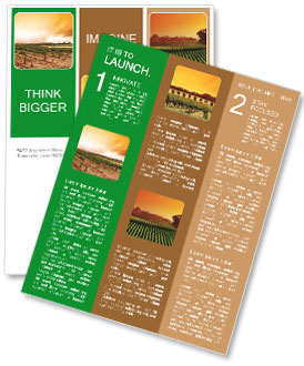 Vineyard in Italy Newsletter Template