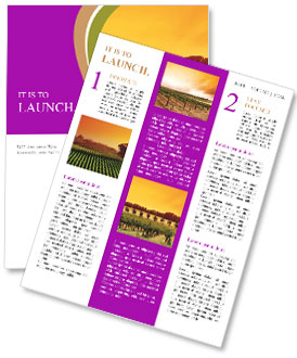 Sunser over Vineyyard in Australia Newsletter Template