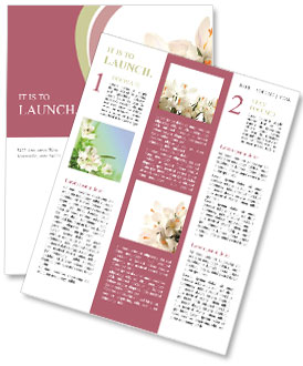 White Flowers Newsletter Template