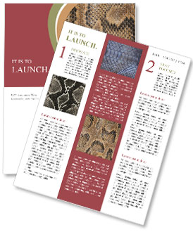 Snake Skin for Handbag Newsletter Template