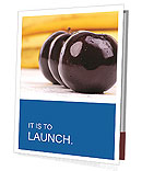 Black Apples Presentation Folder