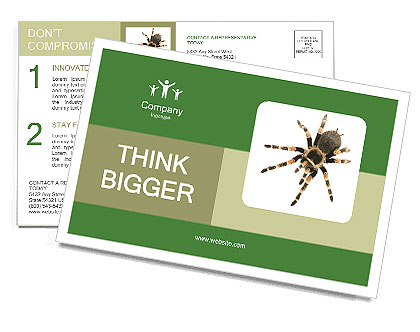 Spider in Wild Nature Postcard Template