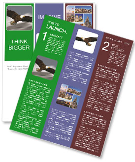 Wild Eagle Flying in the Sky Newsletter Template