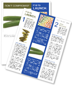 Fresh Cucumbers Newsletter Template