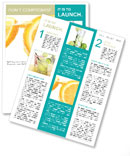 Refreshing Orange Lemonade Newsletter Template