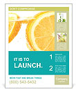 Refreshing Orange Lemonade Poster Template