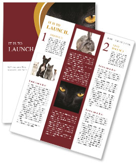 Black Cat with Yellow Eyes Newsletter Template