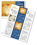 Frame with Autumn Flowers Newsletter Template