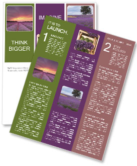 Sunset at Lavender Field in France Newsletter Template