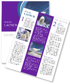 Huge Polar Bear Standing on the Rock Newsletter Template