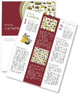 Collection of Bottles with Olive Oil Newsletter Template